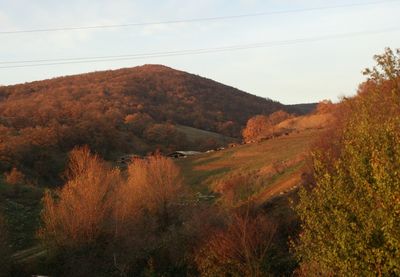 горы, осень