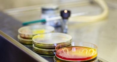 В Китае растёт число случаев заражения смертельной чумой