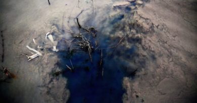 грязная вода,