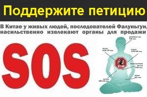 петиция