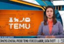 интернет-магазин, Temu, Китай